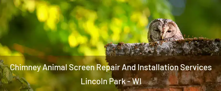 Chimney Animal Screen Repair And Installation Services Lincoln Park - WI