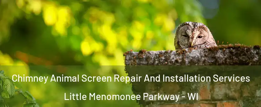 Chimney Animal Screen Repair And Installation Services Little Menomonee Parkway - WI