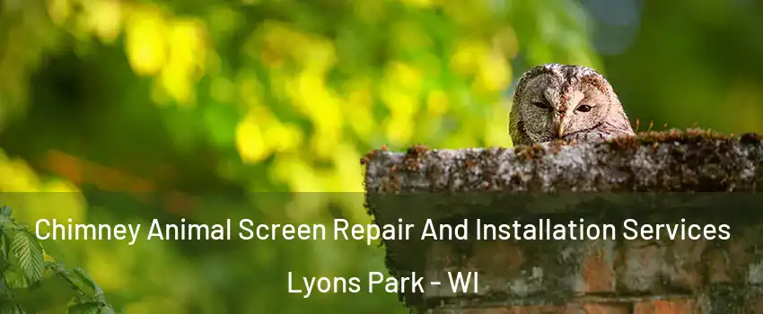 Chimney Animal Screen Repair And Installation Services Lyons Park - WI