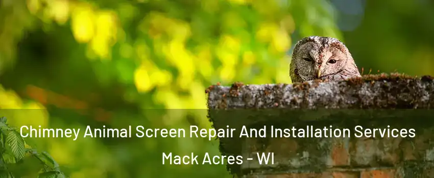 Chimney Animal Screen Repair And Installation Services Mack Acres - WI