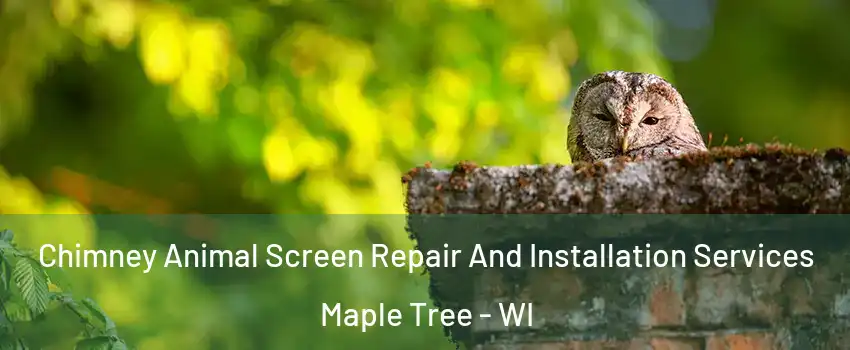 Chimney Animal Screen Repair And Installation Services Maple Tree - WI