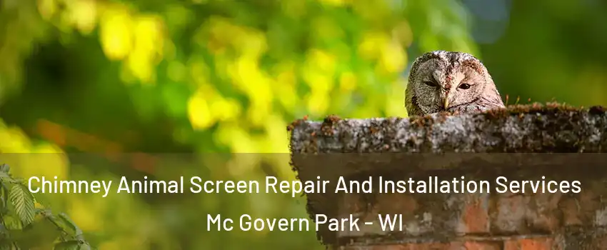 Chimney Animal Screen Repair And Installation Services Mc Govern Park - WI