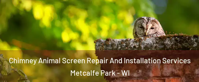 Chimney Animal Screen Repair And Installation Services Metcalfe Park - WI