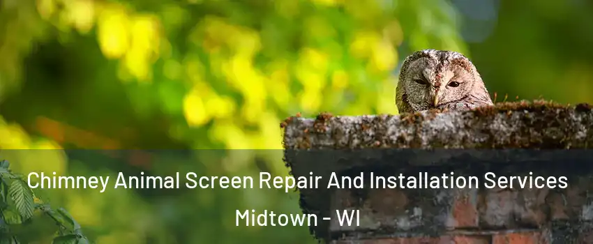 Chimney Animal Screen Repair And Installation Services Midtown - WI