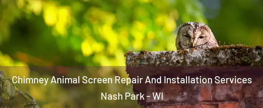 Chimney Animal Screen Repair And Installation Services Nash Park - WI