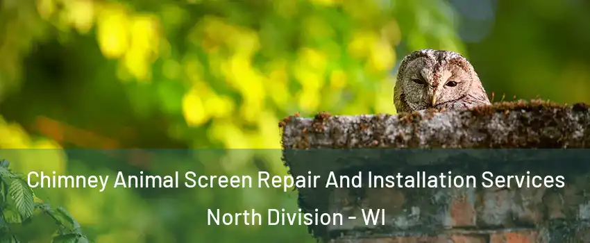 Chimney Animal Screen Repair And Installation Services North Division - WI