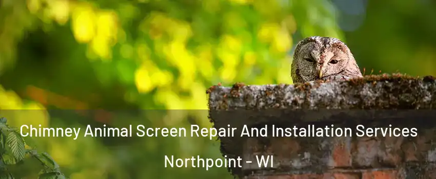 Chimney Animal Screen Repair And Installation Services Northpoint - WI