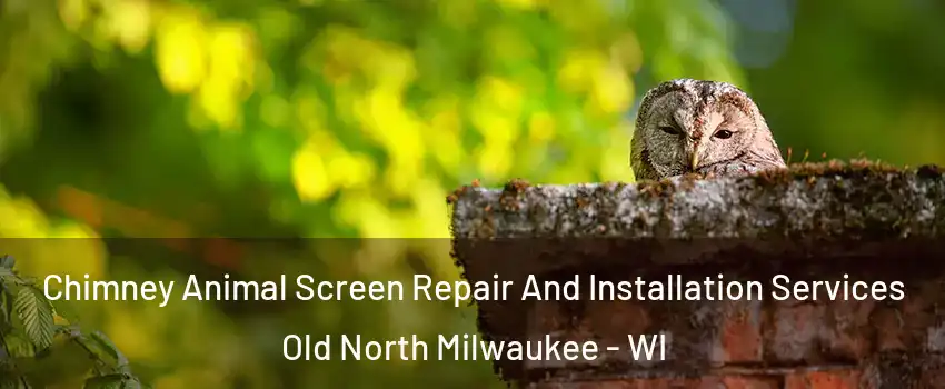 Chimney Animal Screen Repair And Installation Services Old North Milwaukee - WI