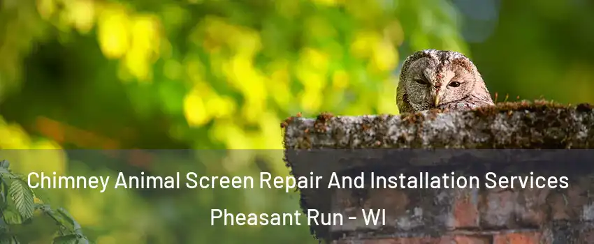 Chimney Animal Screen Repair And Installation Services Pheasant Run - WI