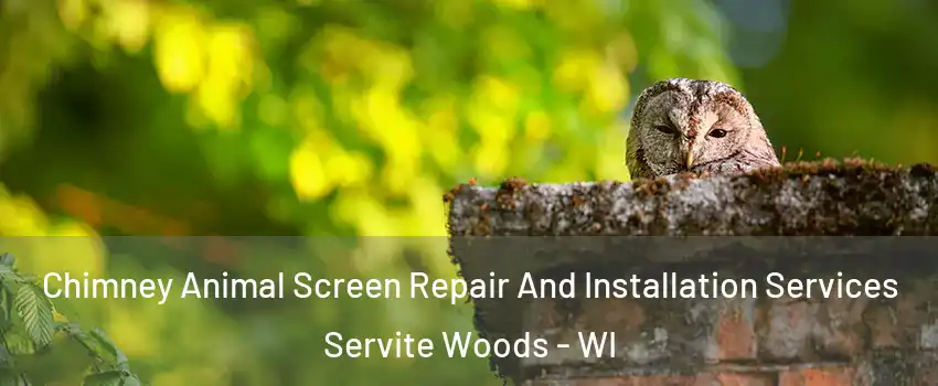 Chimney Animal Screen Repair And Installation Services Servite Woods - WI