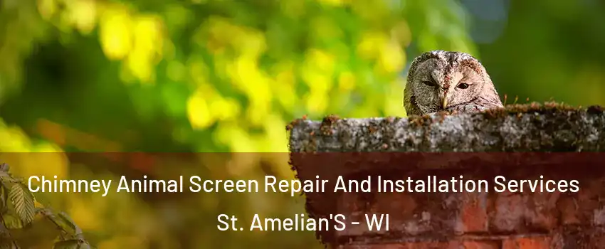 Chimney Animal Screen Repair And Installation Services St. Amelian'S - WI