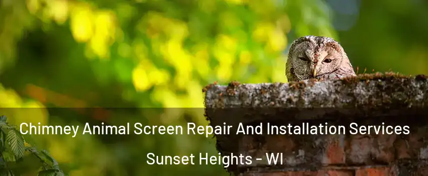 Chimney Animal Screen Repair And Installation Services Sunset Heights - WI