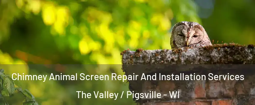 Chimney Animal Screen Repair And Installation Services The Valley / Pigsville - WI