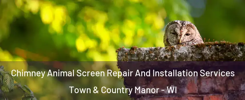 Chimney Animal Screen Repair And Installation Services Town & Country Manor - WI