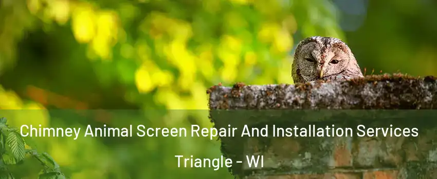 Chimney Animal Screen Repair And Installation Services Triangle - WI