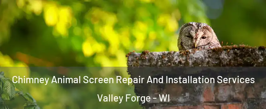 Chimney Animal Screen Repair And Installation Services Valley Forge - WI