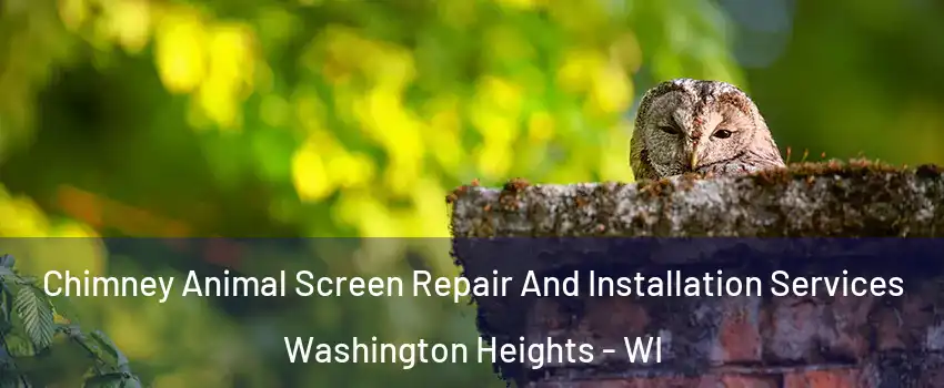 Chimney Animal Screen Repair And Installation Services Washington Heights - WI