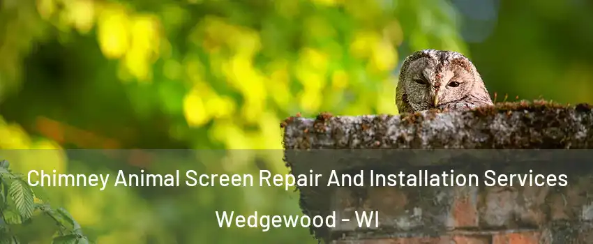 Chimney Animal Screen Repair And Installation Services Wedgewood - WI