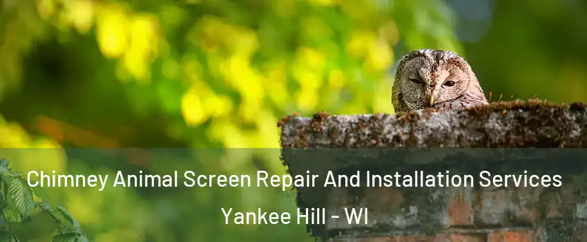 Chimney Animal Screen Repair And Installation Services Yankee Hill - WI