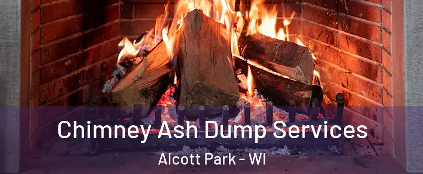 Chimney Ash Dump Services Alcott Park - WI