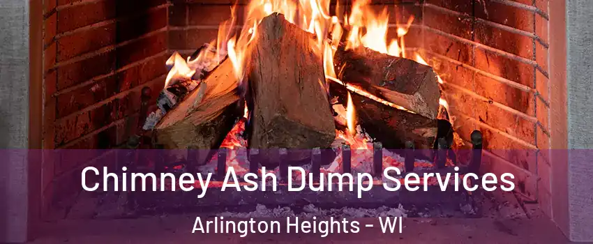 Chimney Ash Dump Services Arlington Heights - WI