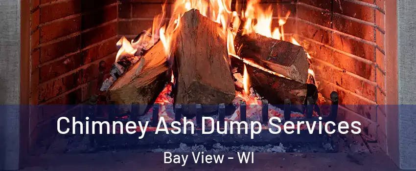 Chimney Ash Dump Services Bay View - WI