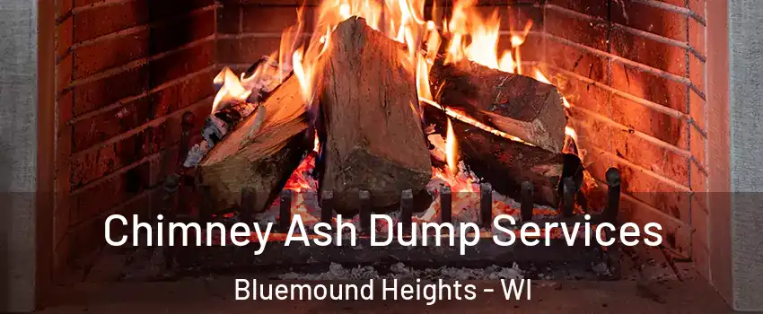 Chimney Ash Dump Services Bluemound Heights - WI