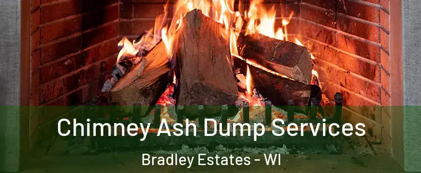 Chimney Ash Dump Services Bradley Estates - WI