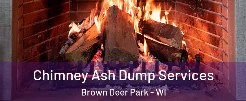 Chimney Ash Dump Services Brown Deer Park - WI