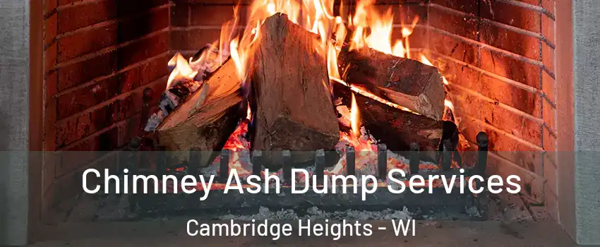 Chimney Ash Dump Services Cambridge Heights - WI