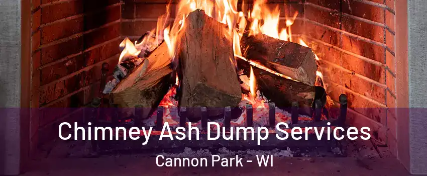 Chimney Ash Dump Services Cannon Park - WI