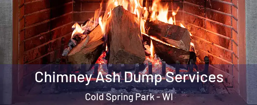 Chimney Ash Dump Services Cold Spring Park - WI