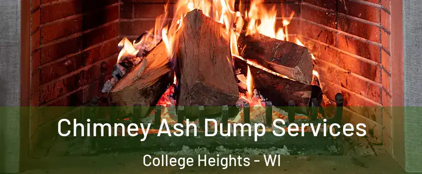 Chimney Ash Dump Services College Heights - WI