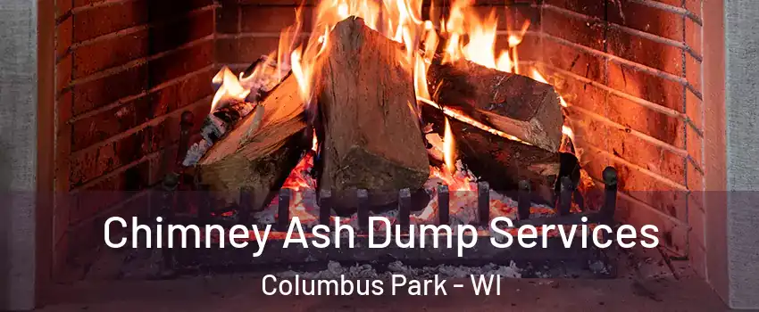 Chimney Ash Dump Services Columbus Park - WI