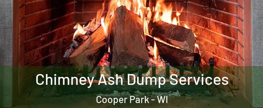 Chimney Ash Dump Services Cooper Park - WI