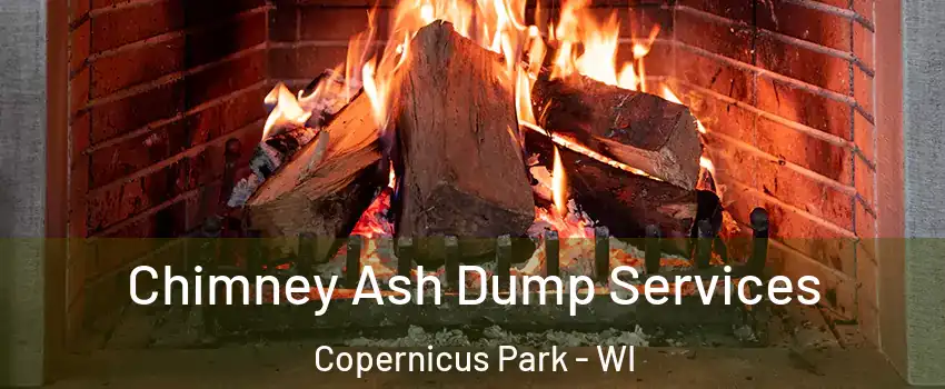 Chimney Ash Dump Services Copernicus Park - WI