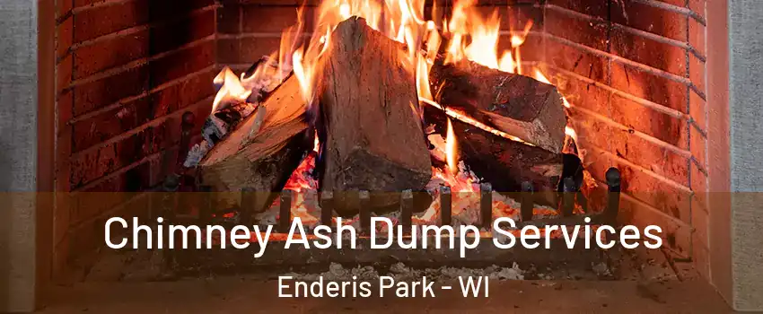 Chimney Ash Dump Services Enderis Park - WI