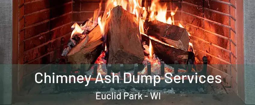 Chimney Ash Dump Services Euclid Park - WI