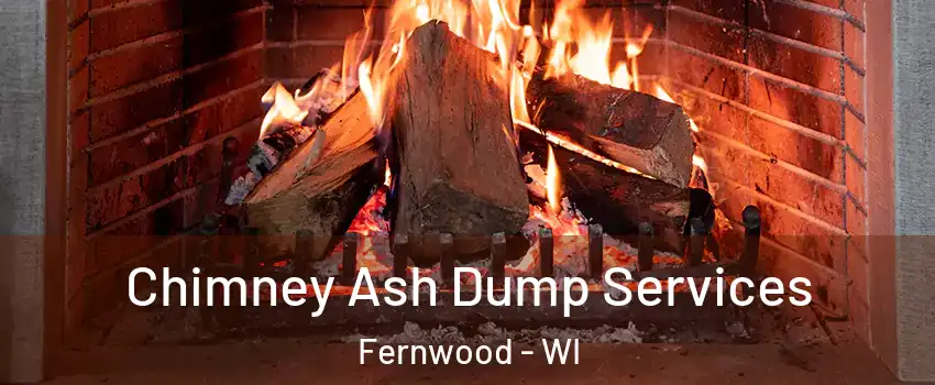 Chimney Ash Dump Services Fernwood - WI