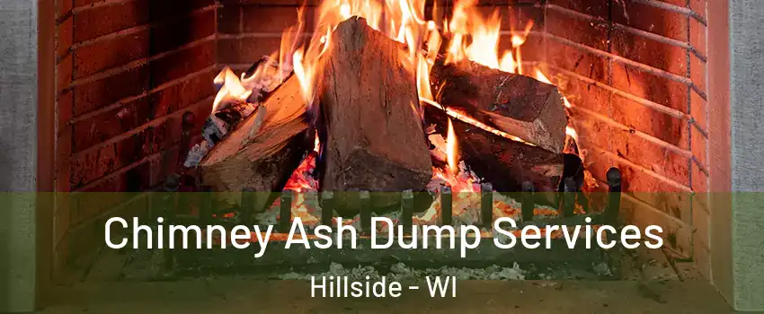 Chimney Ash Dump Services Hillside - WI