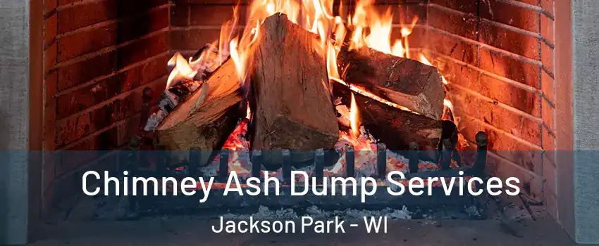 Chimney Ash Dump Services Jackson Park - WI