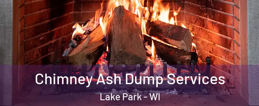 Chimney Ash Dump Services Lake Park - WI