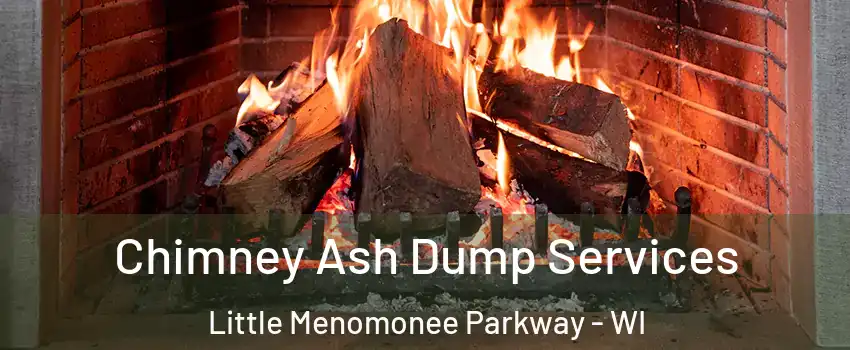 Chimney Ash Dump Services Little Menomonee Parkway - WI