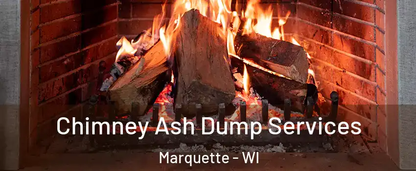 Chimney Ash Dump Services Marquette - WI