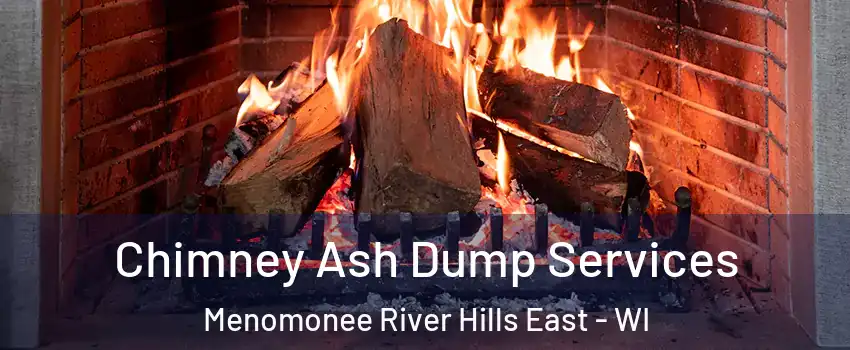 Chimney Ash Dump Services Menomonee River Hills East - WI