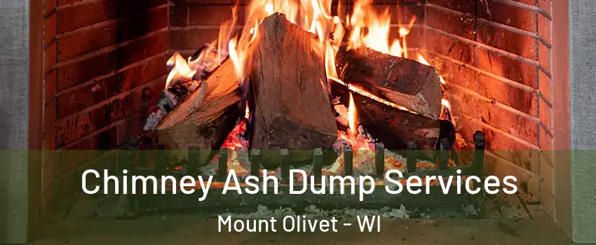 Chimney Ash Dump Services Mount Olivet - WI