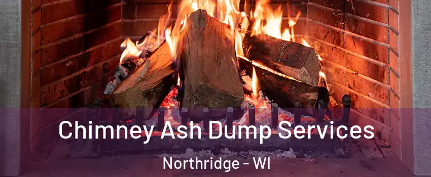 Chimney Ash Dump Services Northridge - WI