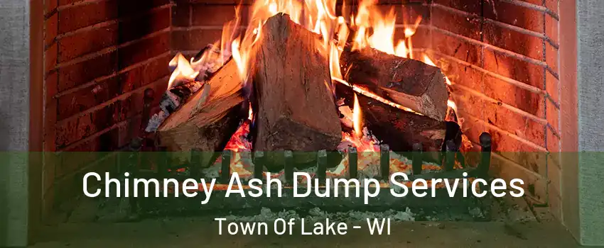 Chimney Ash Dump Services Town Of Lake - WI