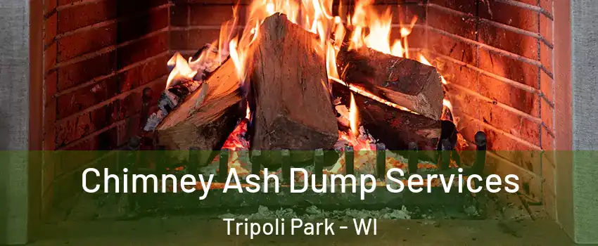 Chimney Ash Dump Services Tripoli Park - WI