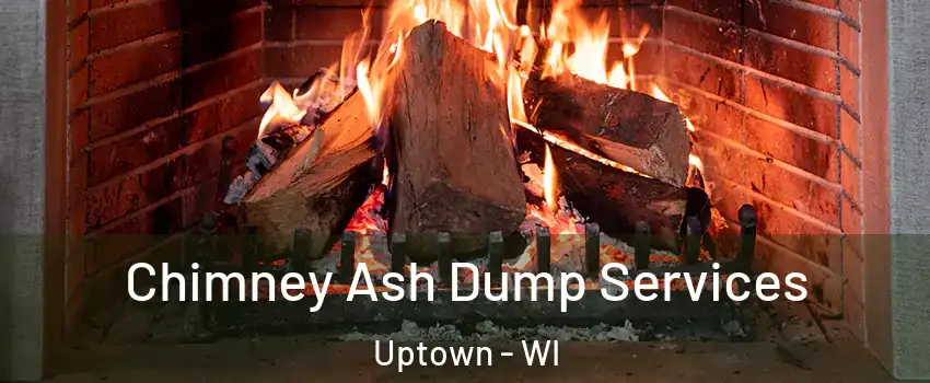 Chimney Ash Dump Services Uptown - WI